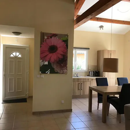 Amazing In With Terrace Nyaraló