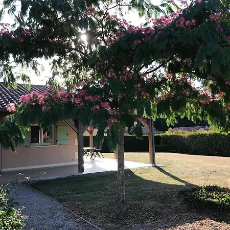 Amazing In With Terrace Nyaraló *