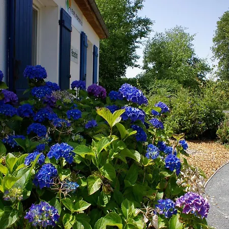 Amazing In With Terrace *