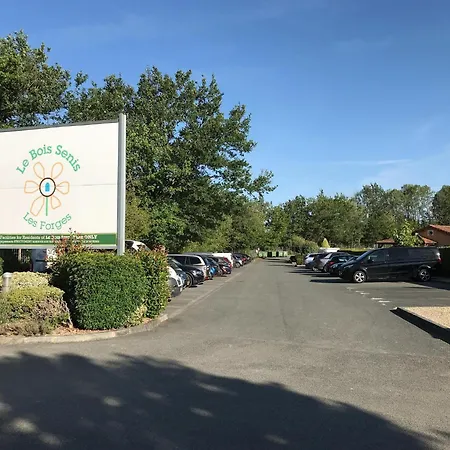 Amazing In With Terrace